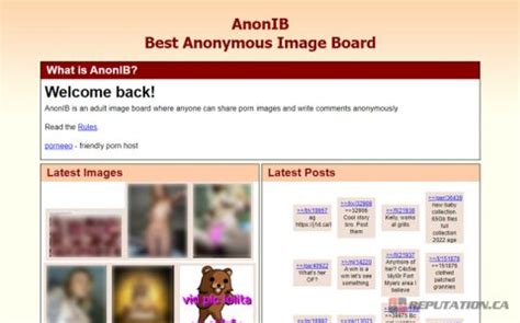 nd anon nude|What this revenge porn site’s shutdown means to one of its。